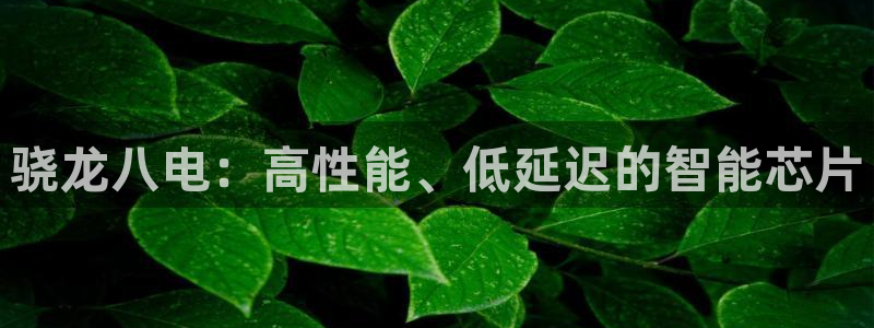 壹号app下载官方网站
