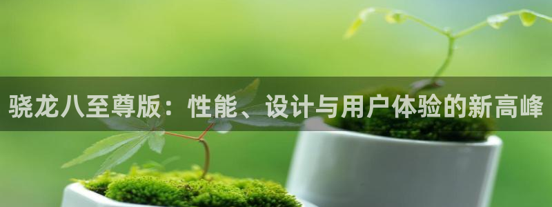 蓝图娱乐平台官网版最新