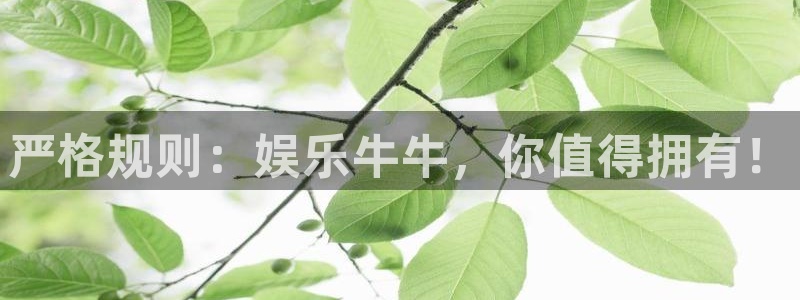 蓝图娱乐吧：严格规则：娱乐牛牛，你值得拥有！