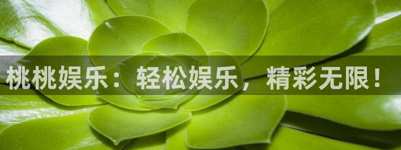 蓝图娱乐苹果手机下载链接