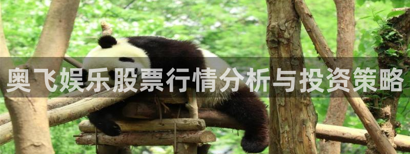 蓝图娱乐官网