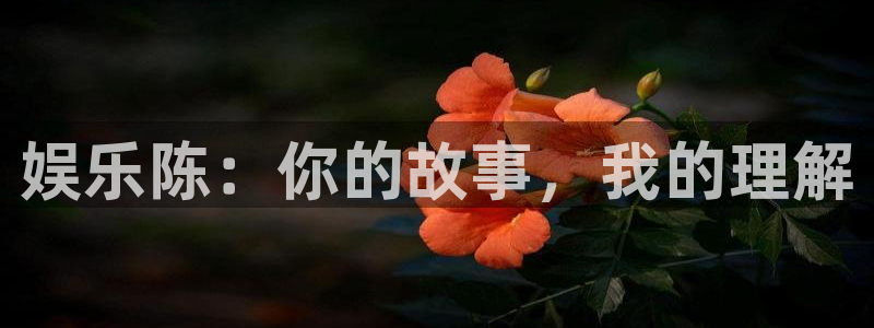 蓝图娱乐(com.youad.authst)