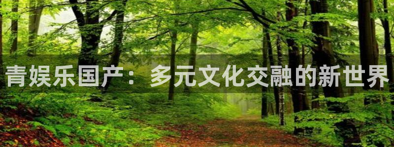 电子游戏蓝图娱乐