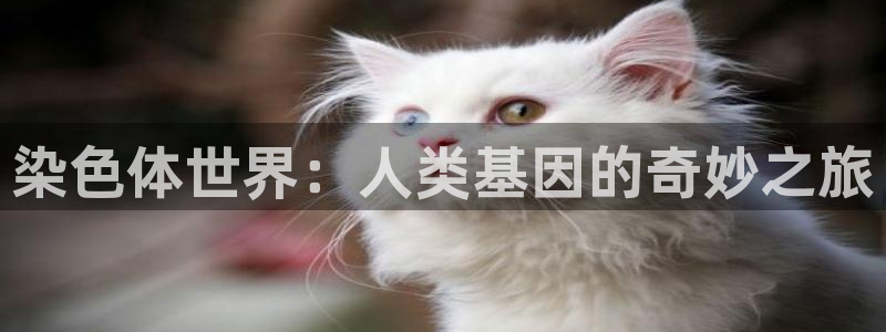 蓝图娱乐官网下载