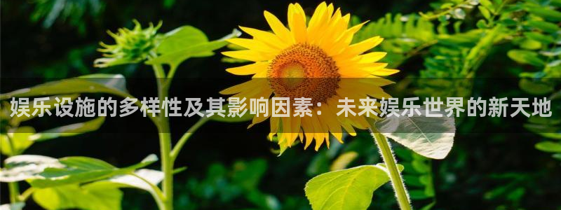 蓝图娱乐平台管网入口：娱乐设施的多样性及其影响因素：未来娱乐世界的新天地