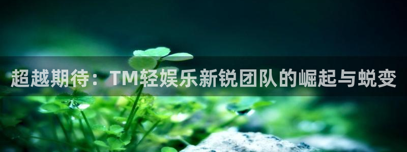 南宫蓝图娱乐官网下载链接：超越期待：TM轻娱乐新锐团队的崛起与蜕变